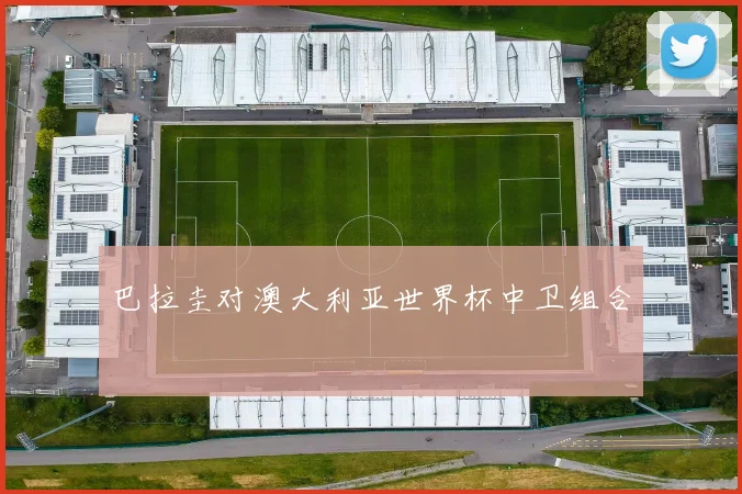 巴拉圭对澳大利亚世界杯中卫组合