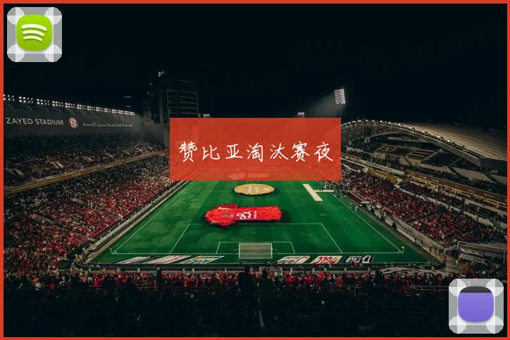 赞比亚淘汰赛夜
