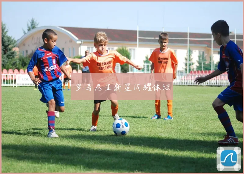 罗马尼亚新星闪耀体坛
