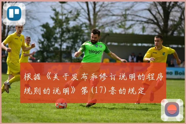 根据《关于发布和修订说明的程序规则的说明》第(17)条的规定