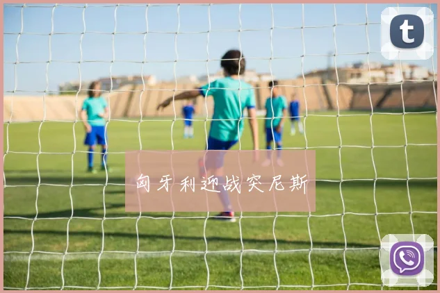 匈牙利迎战突尼斯