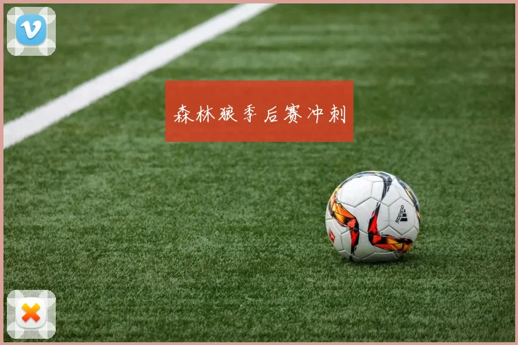 森林狼季后赛冲刺