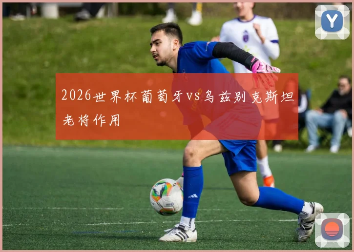2026世界杯葡萄牙vs乌兹别克斯坦老将作用