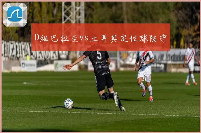 D组巴拉圭vs土耳其定位球防守