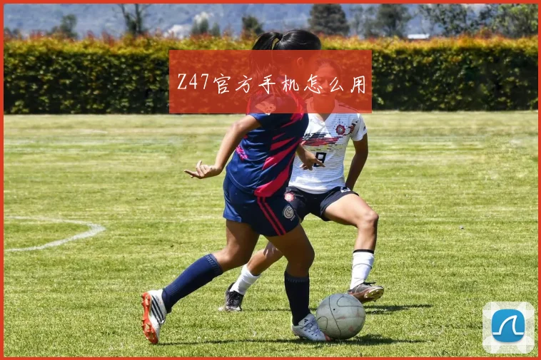 Z47官方手机怎么用