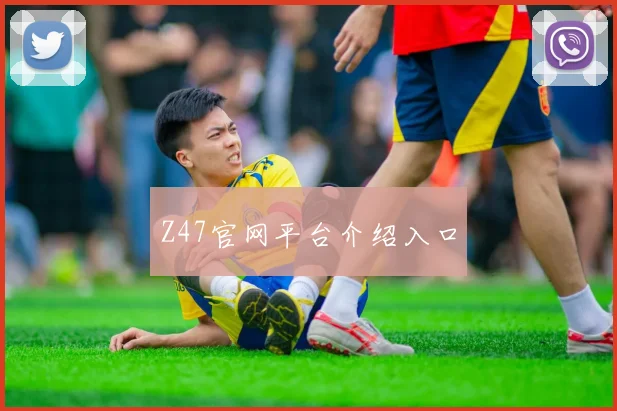 Z47官网平台介绍入口