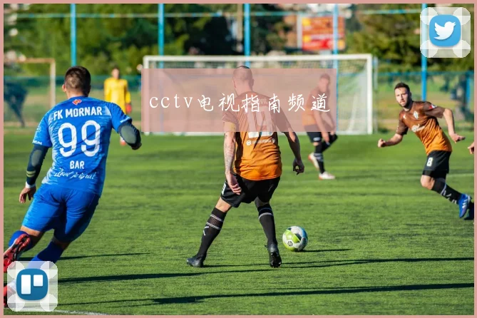 cctv电视指南频道